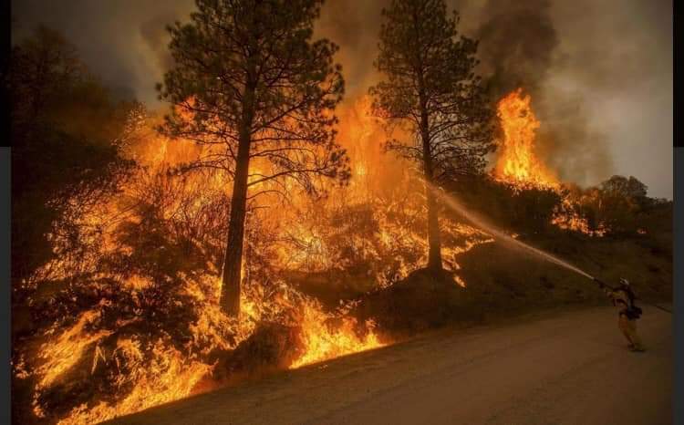 Incendio Boscoe